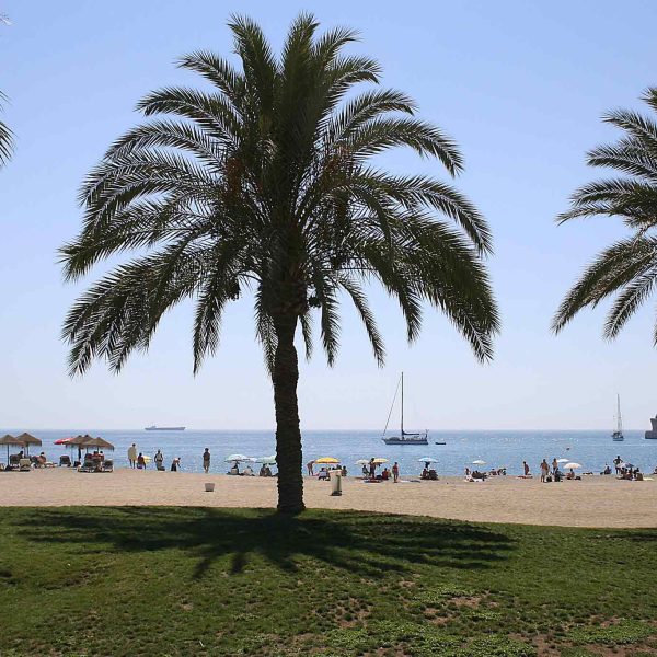 Malaga photo